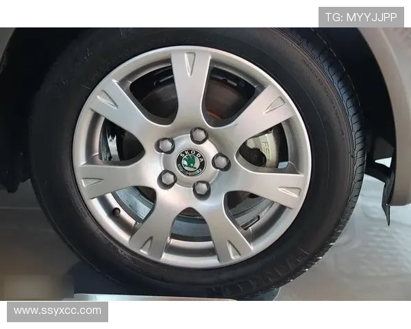 1996年老掉牙的PQ25平台又给斯柯达昕锐用上了，新车走老路