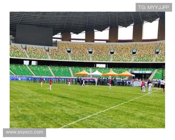 全国青少体育联赛（全国青少年联赛）sports