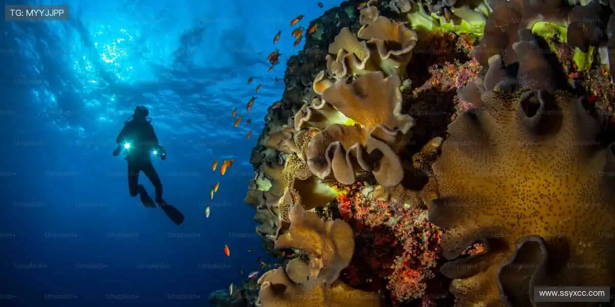 突破极限，见证传奇！🚴🏃